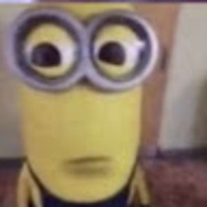 Meet your Posher, Amelia